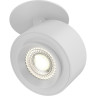 Потолочный светильник MAYTONI TREO C063CL-L12W3K