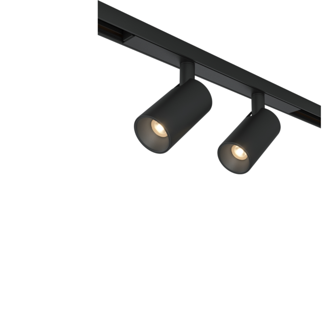 Трековый светильник MAYTONI FOCUS DUO BASITY TR176-1-2X5WTW-M-B